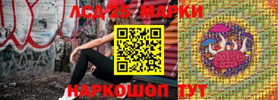 МДПВ Белореченск