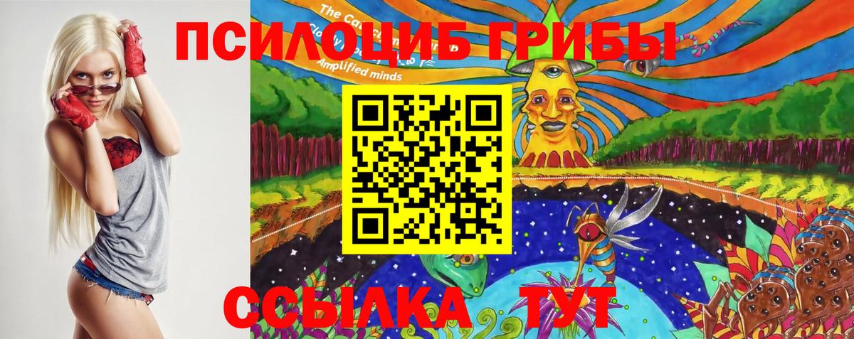 Псилоцибиновые грибы Cubensis Верхняя Салда