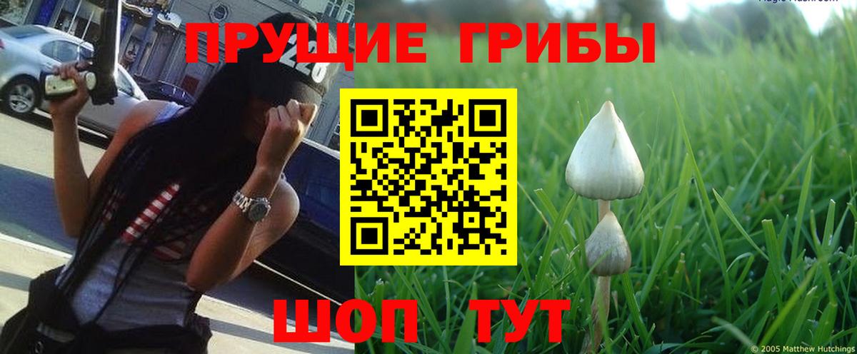 Верхняя Салда  Галлюциногенные грибы GOLDEN TEACHER  Галлюциногенные грибы ЛСД  Вход с VPN 